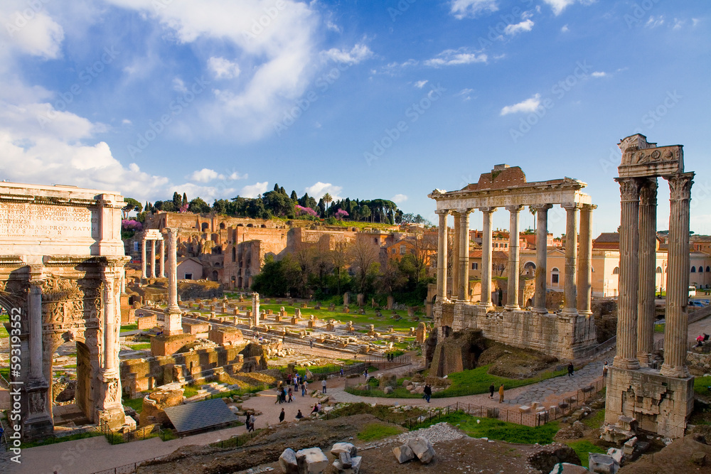 Roma. rovine del foro romano
