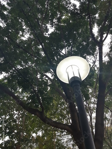 light in the park