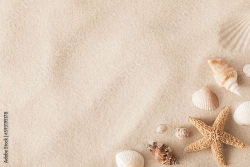Fototapeta Naklejka Na Ścianę i Meble -  Top view of a sandy beach with collection of exotic seashells and starfish as natural textured background