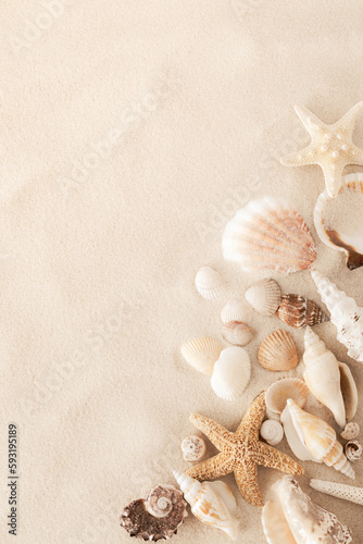 Top view of a sandy beach with collection of seashells and starfish as natural textured background for aesthetic summer design