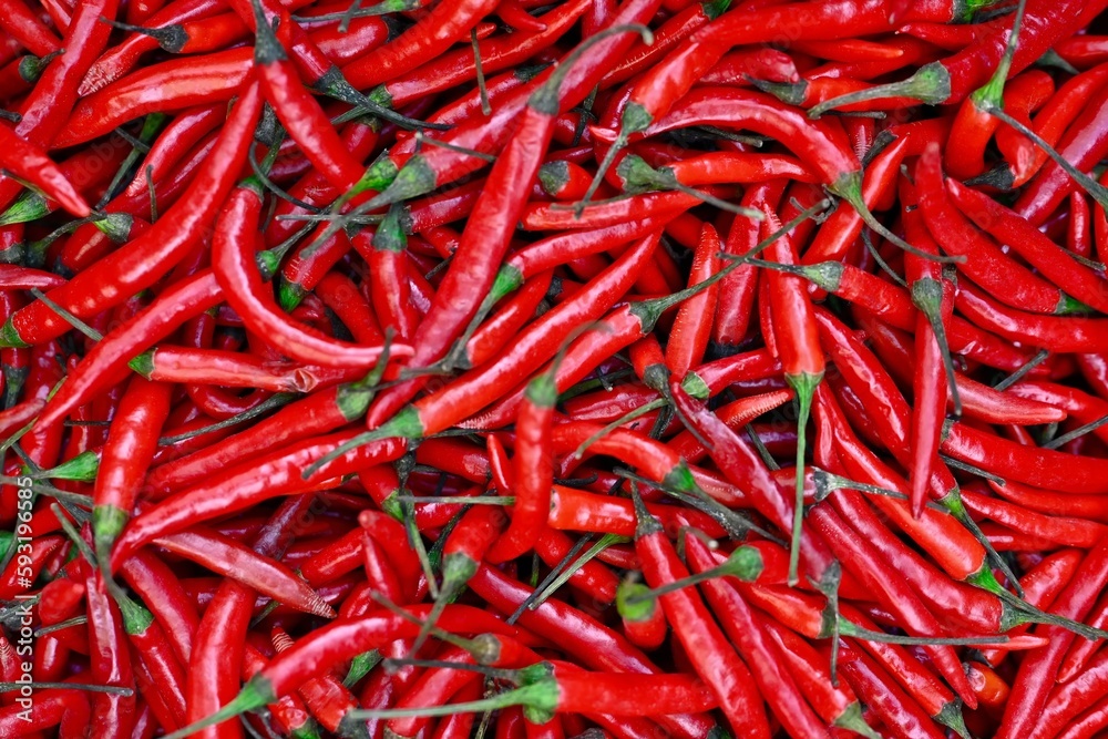 Full frame of fresh red chili pepper. Top view background texture. Full frame of fresh red chili pepper. Top view background texture.