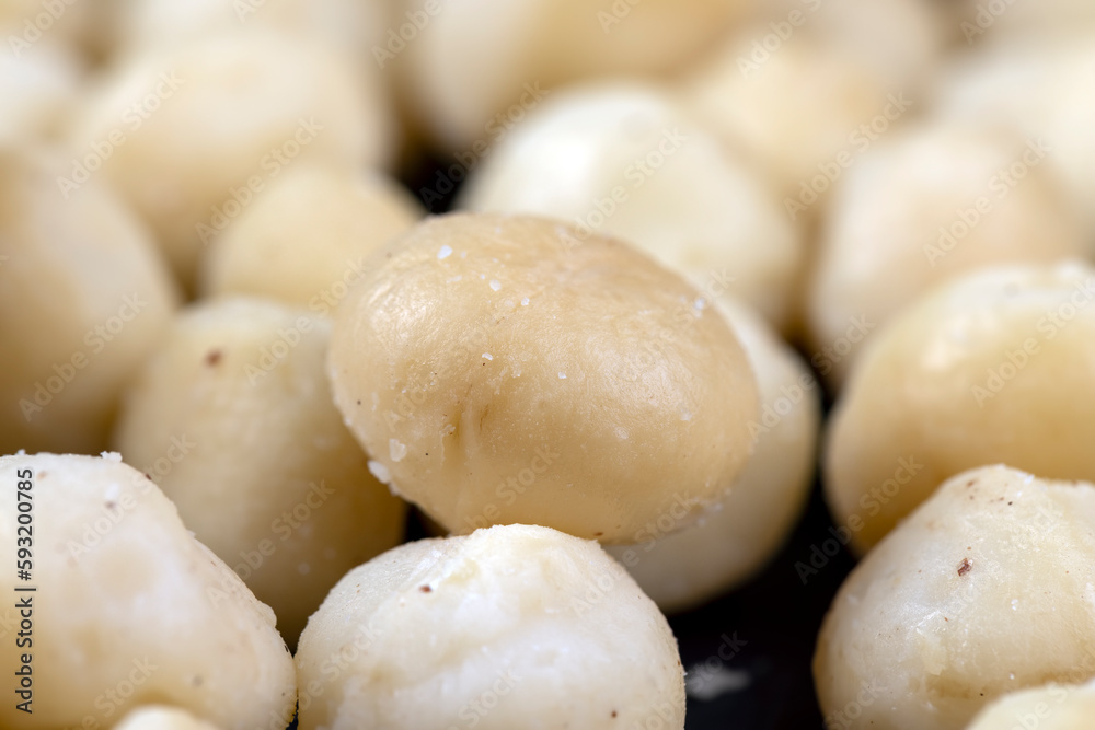 Peeled macadamia nuts on the table Peeled macadamia nuts on the table