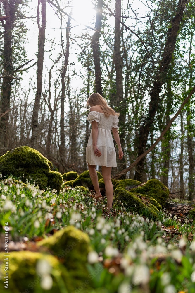 Snowdrops galanthus blonde. A girl in a white dress stands on a meadow with snowdrops in a spring forest