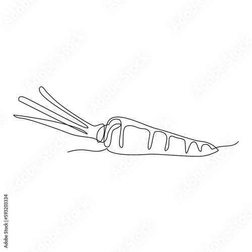 carrot continuous single line drawing vector illustration in white background