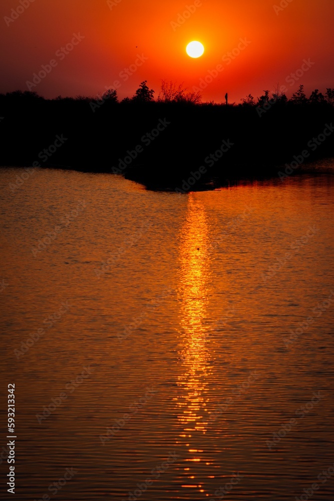 Sunset scene of golden sky reflecting on the water with silhouette trees, vertical shot