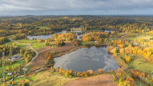 Aerial of the beautiful lake surrounded by the colorful forest on a gloomy autumn day in Estonia