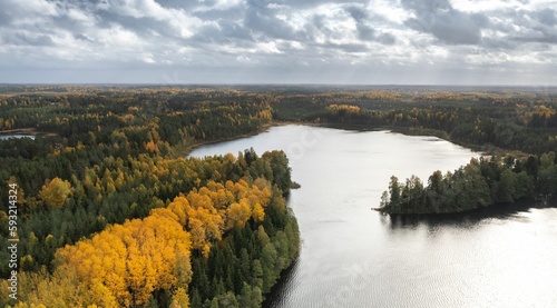 Aerial of the beautiful lake surrounded by the colorful forest on a cloudy autumn day in Estonia