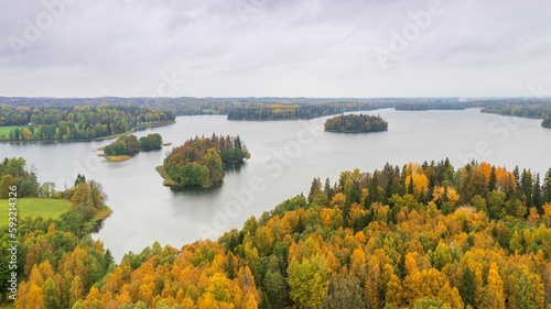 Aerial of the beautiful lake surrounded by the colorful forest on a gloomy autumn day in Estonia