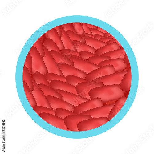 Gastritis Symptom Icon