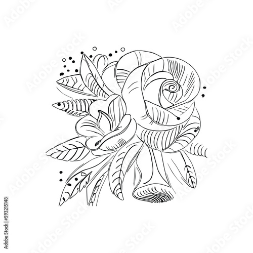 Beautiful Roses Flower Coloring book, line art vector.