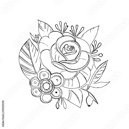 Beautiful Roses Flower Coloring book, line art vector.