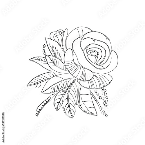 Beautiful Roses Flower Coloring book, line art vector.