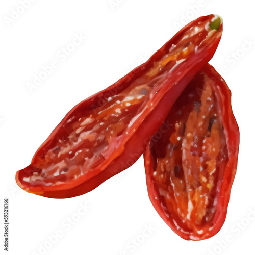 Dried Tomatoes Isolated Hand Drawn Painting Illustration