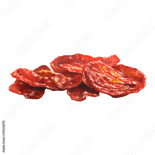 Dried Tomatoes Isolated Hand Drawn Painting Illustration
