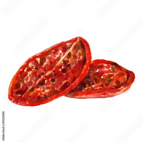 Dried Tomatoes Isolated Hand Drawn Painting Illustration