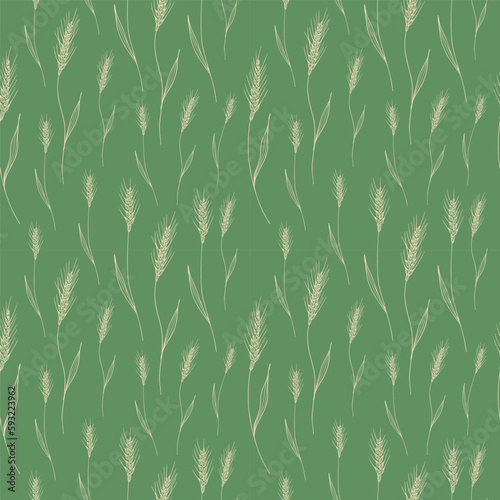 Seamless repeating pattern with ears of wheat on a green background. Floral ornament with an ear of wheat, background with cereals. Drawn by hand. Vector illustration