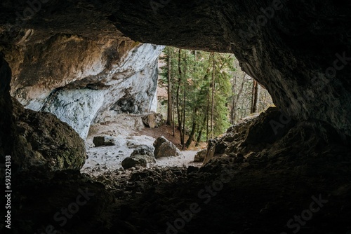 Scenic view of forest trees from inside of a dark cave