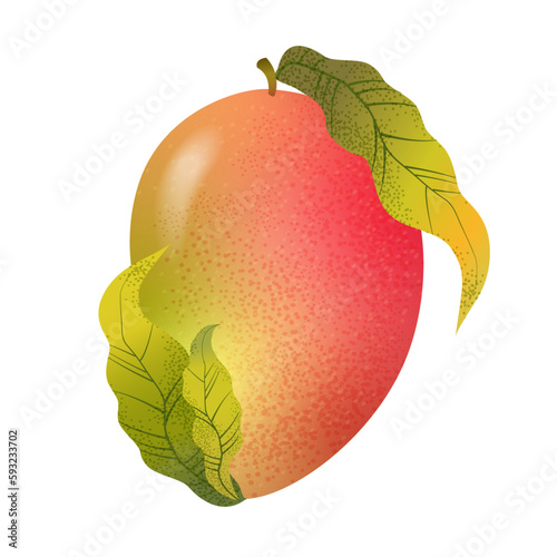 Fresh bright exotic whole mango isolated on white background. Summer fruits for healthy lifestyle. Mango with leaves. Mango illustration with texture. Organic fruit. Vector illustration for any design