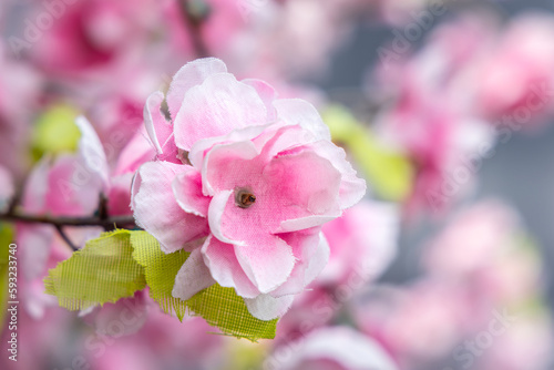 The cherry blossoms fake made from fabric on blurred background.