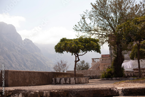 Sea, mountain, stone house. Spring landscape. Montenegro, Kotor Bay view.