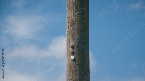 Poste rústico de madera de teléfonos