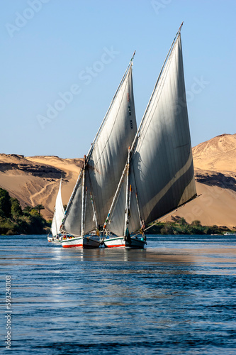 Feluccas - traditional egyptian boat - on Nile river, Egypt.