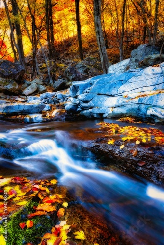 Image of the fall of the river through the rocks and trees during the fall.