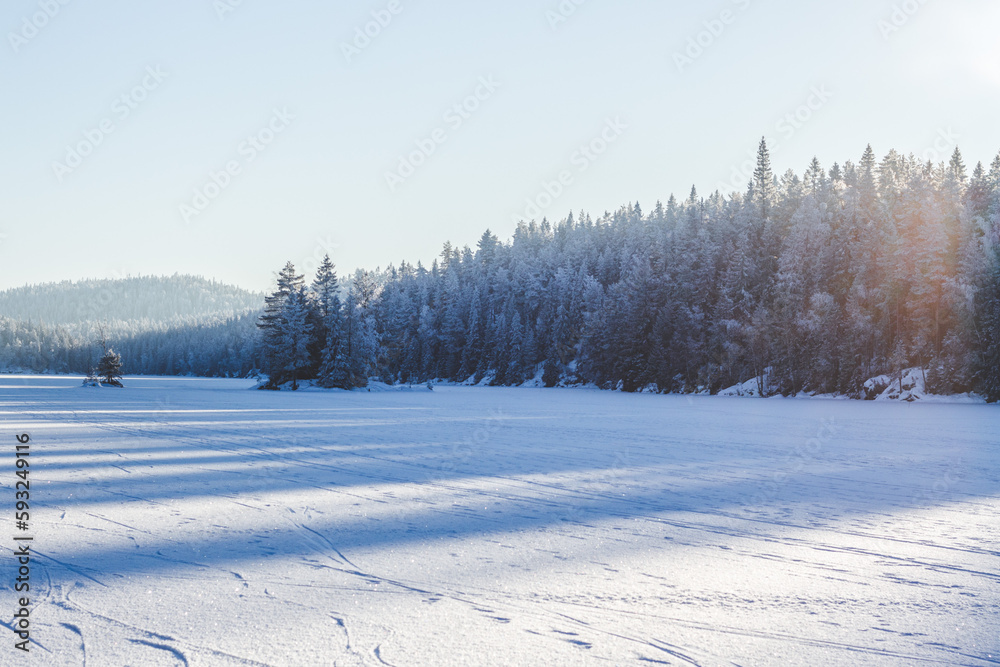 winter landscape with trees and soft light winter landscape with trees and soft light
