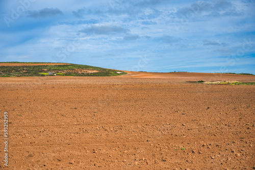 dry empty field in the country