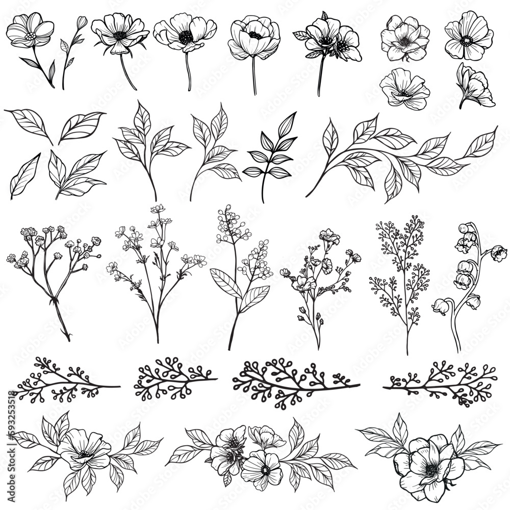 Wild flowers and plants outline decorative collection Wild flowers and plants outline decorative collection