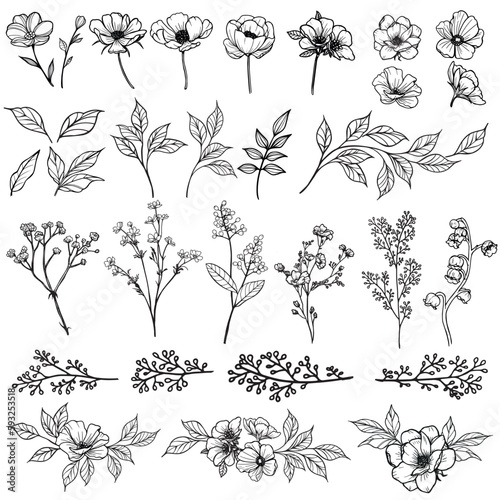 Wild flowers and plants outline decorative collection