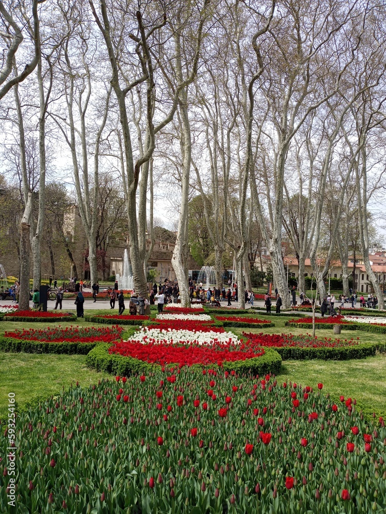 Obraz premium park in the park
