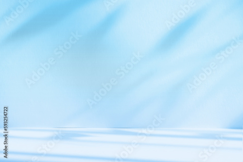 Abstract blue color gradient studio background for product presentation. Empty room with shadows of window and flowers and palm leaves . 3d room with copy space. Summer concert. Blurred backdrop.
