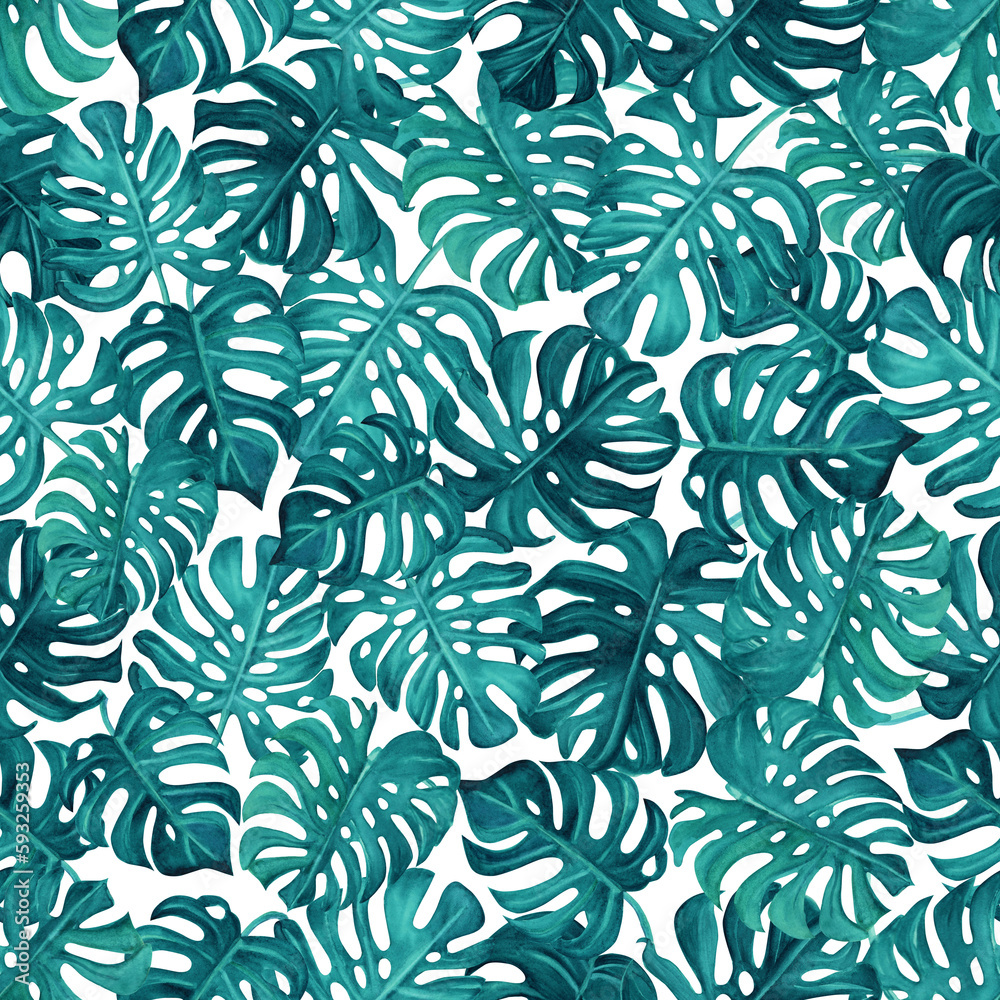 Seamless pattern from watercolor hand drawn Tropic Monstera Leaves on white background. Teal Color Seamless pattern from watercolor hand drawn Tropic Monstera Leaves on white background. Teal Color