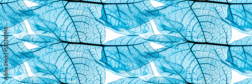 Macro texture of beautiful leaves in blue tones. AI generative illustration.