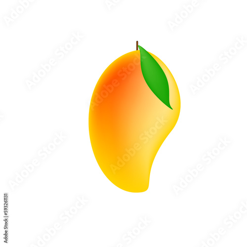 illustration of a Mango
