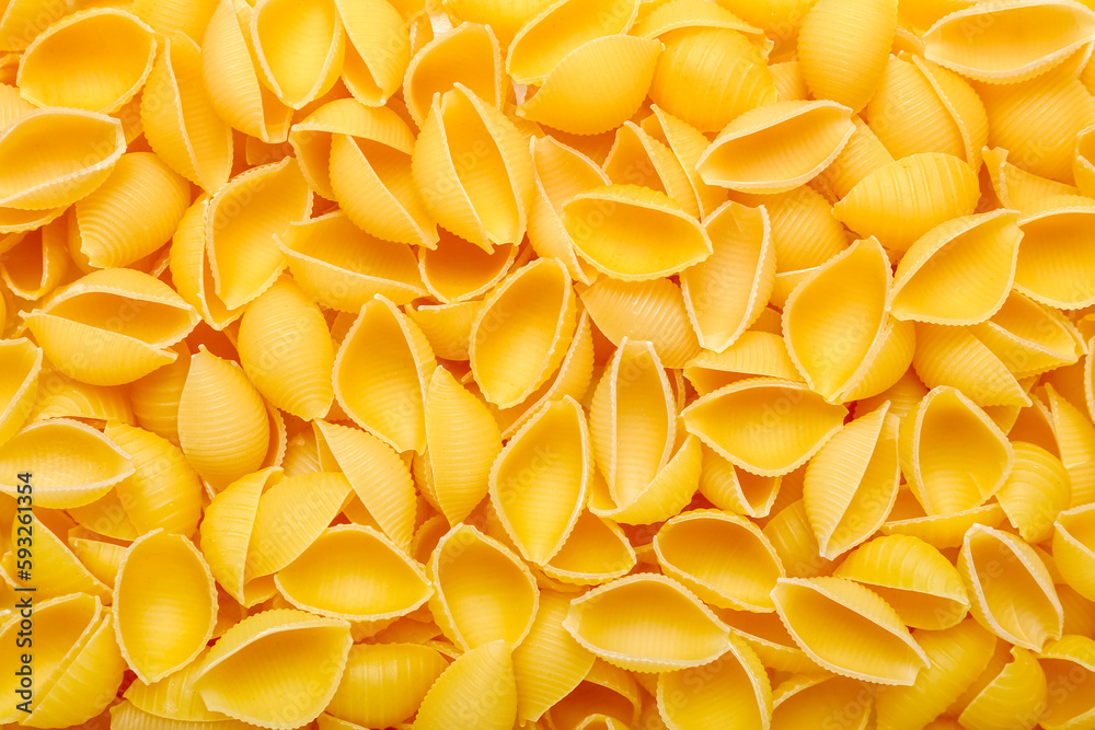 Raw conchiglie pasta as background Raw conchiglie pasta as background