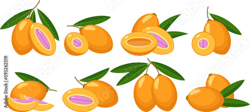 Fototapeta Naklejka Na Ścianę i Meble -  Marian plum fruits