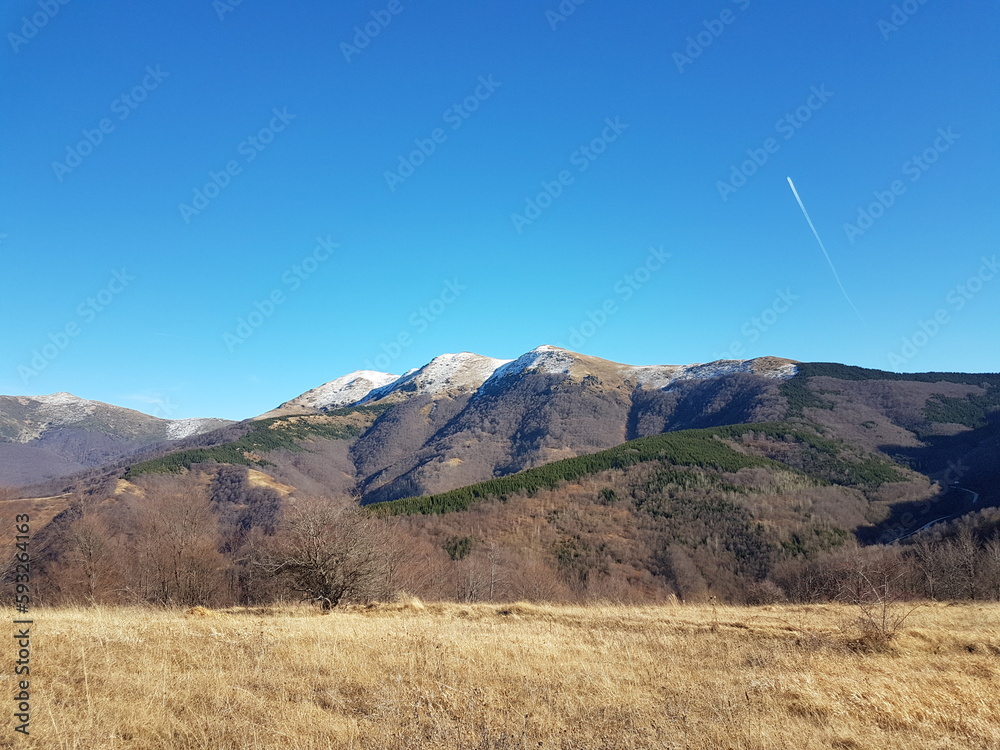 Fototapeta premium Babin Zub, Velika Planina , Gipfel in Serbien. Gipfel im Balkangebirge, Südostserbien. Höhe beträgt 1780 m. Form eines Eckzahnes senkrecht in den Himmel.