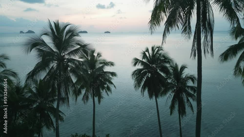 Incredible tropical beach at evening time at sunset or sunrise. Cinematic aerial shot of palm trees on the background of turquoise sea water on tropical beach in the evening.