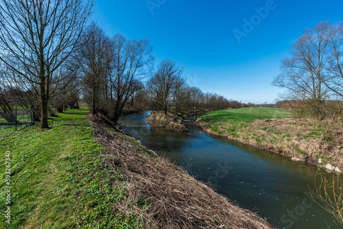 River connecton with trees and meadow around - junction of Odra and Bilovka river near Petrvaldik village in Czech republic photo