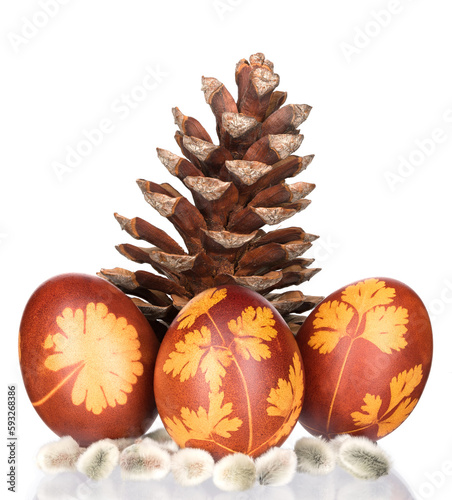 Easter eggs with pinecone on white background.