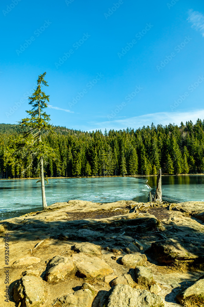 Frühlingswanderung im Bayrischen Wald vom Großen Arbersee zum Großen Arber Gipfel - Bayern - Deutschland