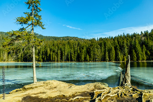 Tableau sur toile Frühlingswanderung im Bayrischen Wald vom Großen Arbersee zum Großen Arber Gipfe