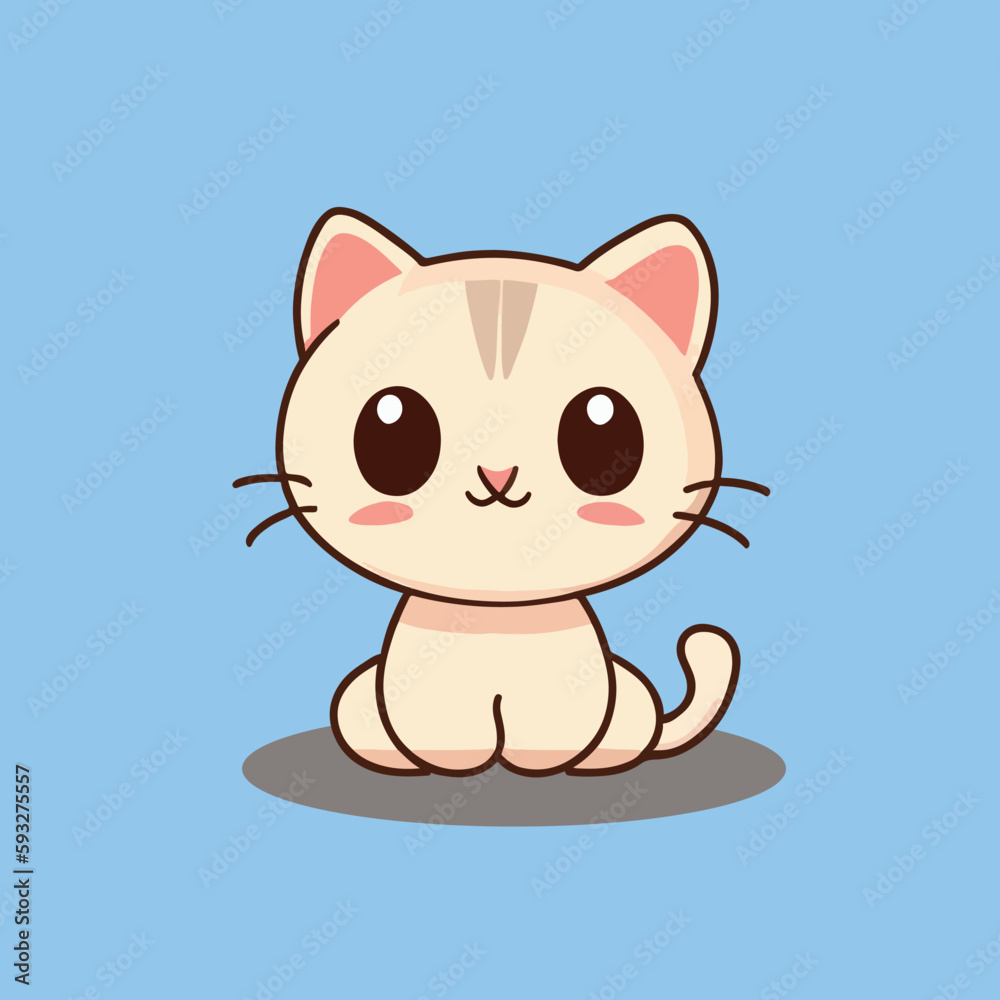 cute cat with big eyes activity cute cat with big eyes activity