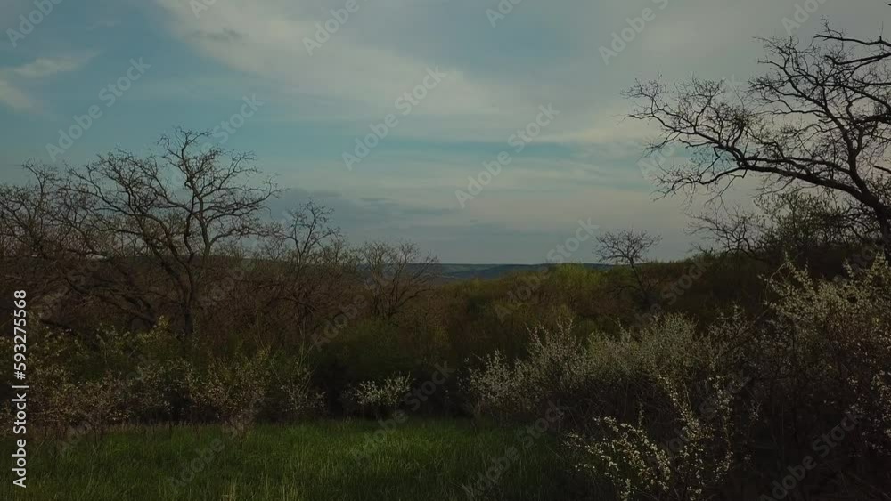 Aerial view of trees in the forest. Natural landscape. Drone footage. Background of cloudy sky. Aerial view of trees in the forest. Natural landscape. Drone footage. Background of cloudy sky.