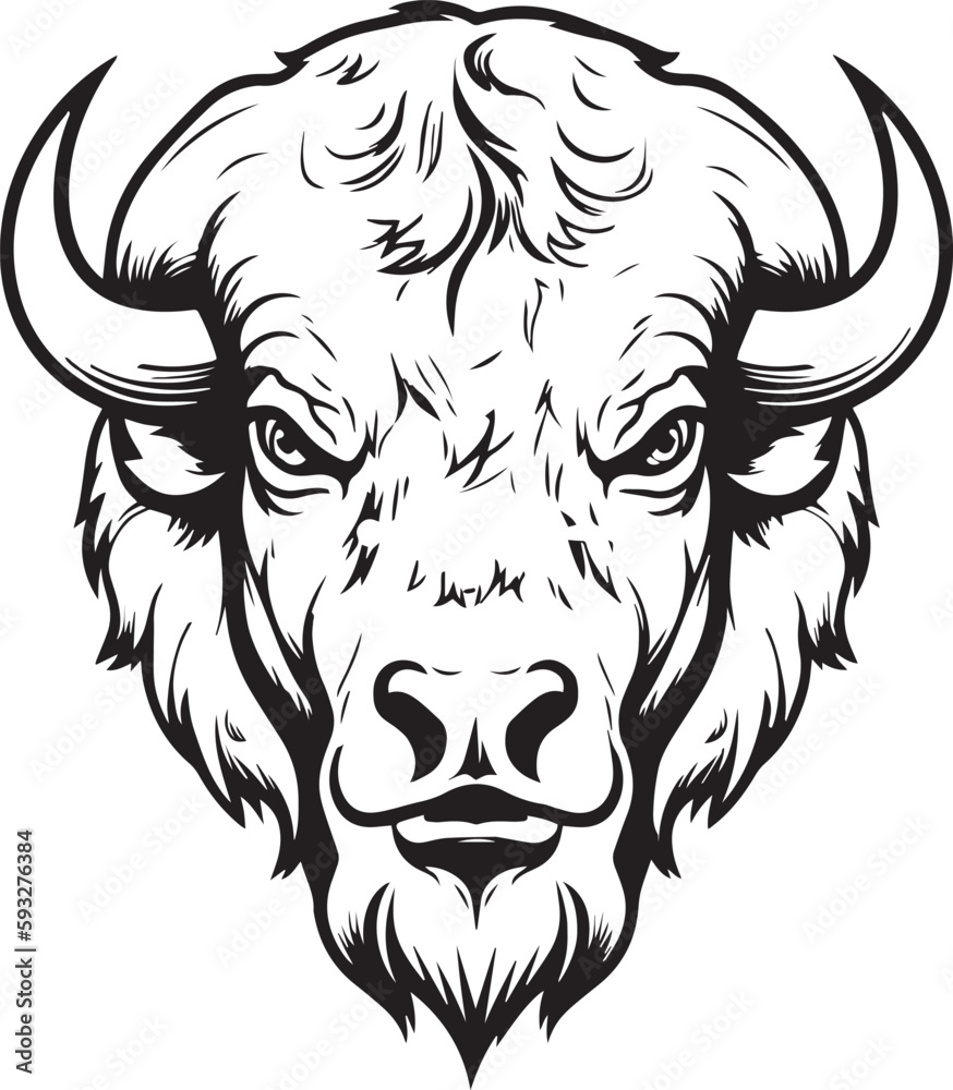 American bison, American bison head, Buffalo Vector  illustration, SVG