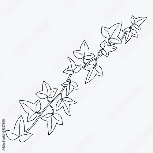 Floral ivy drawing decorative ornament flat design.