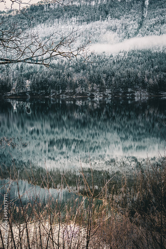 Vertical shot of a pond reflecting the beauty of snowy trees on a cold winter day © Lichtwerkstatt Eu/Wirestock Creators