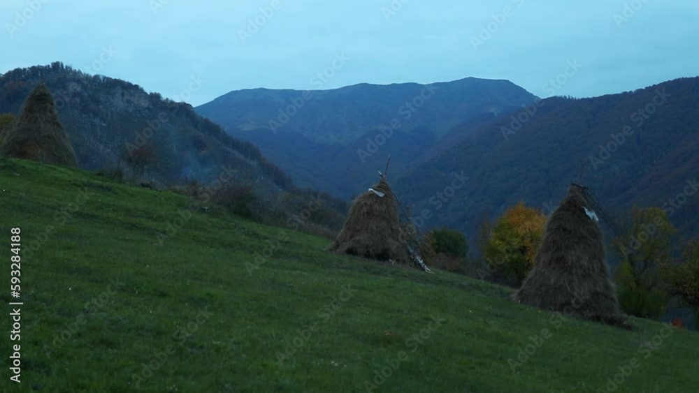 Beautiful shot of grass in the Cernei mountains, Romania Beautiful shot of grass in the Cernei mountains, Romania